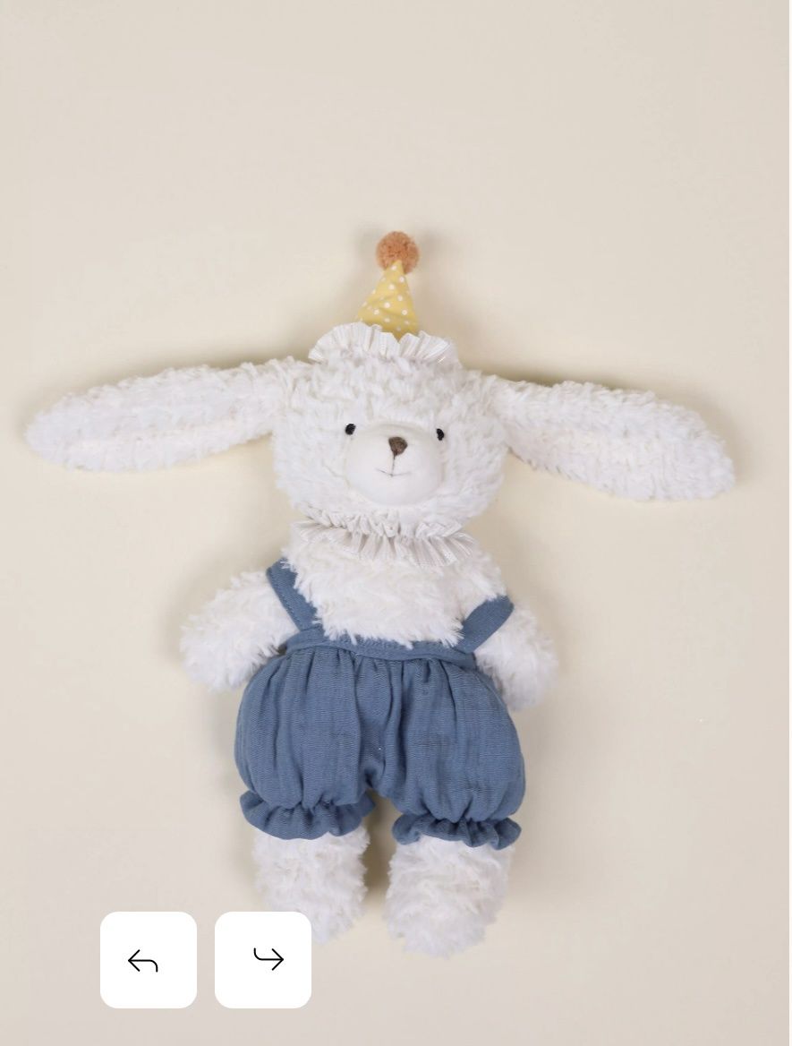 Dog Birthday Plush Toy