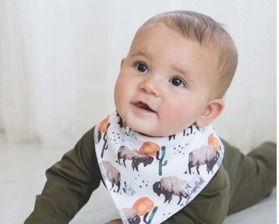 Baby Bandana Bibs - Bison