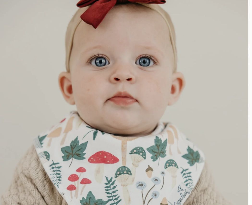 Baby Bandana Bibs - Ivy