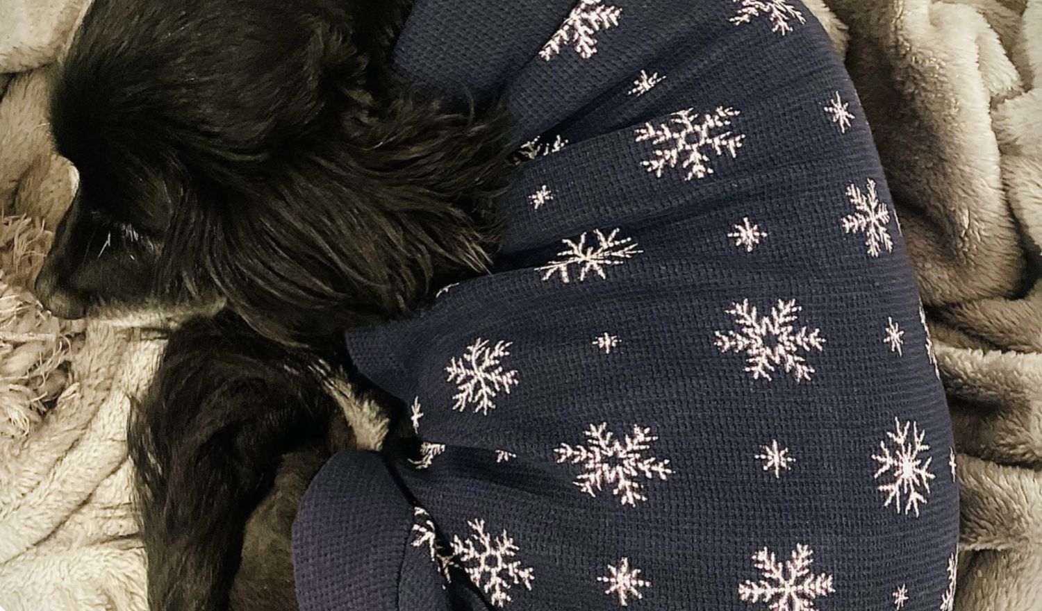 Dog Sweater - Snowy Night, Season: Snowy Night, Size: XS/S