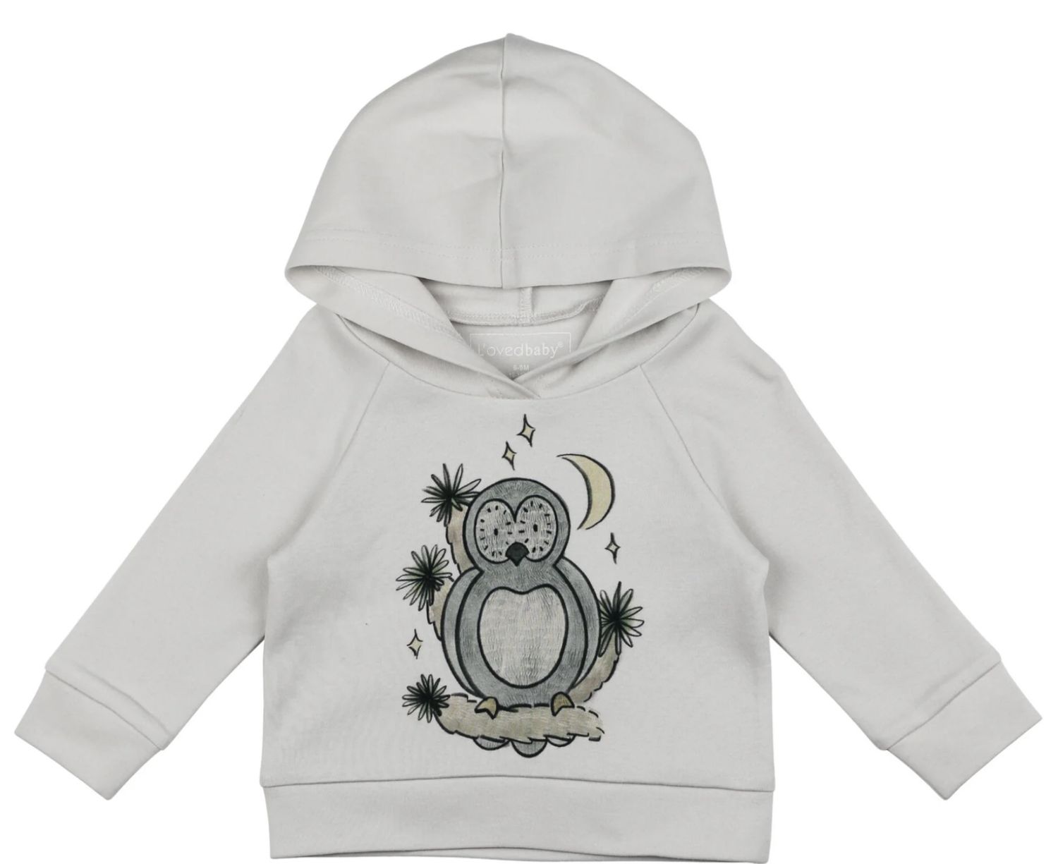 Desert Friends Hoodie - Owl Hoo, Size: 2T, Theme: Owl Hoo