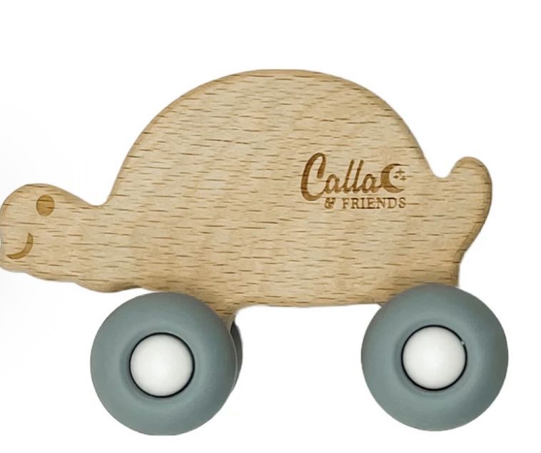 Rollin’ Friends Turtle