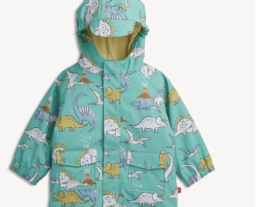 Dino Color Changing Raincoat, Size: 2T
