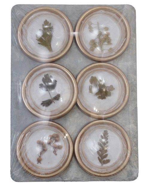 Rylee Greenery Magnets