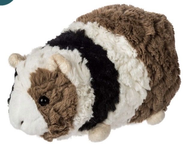 Gizmo Guinea Pig