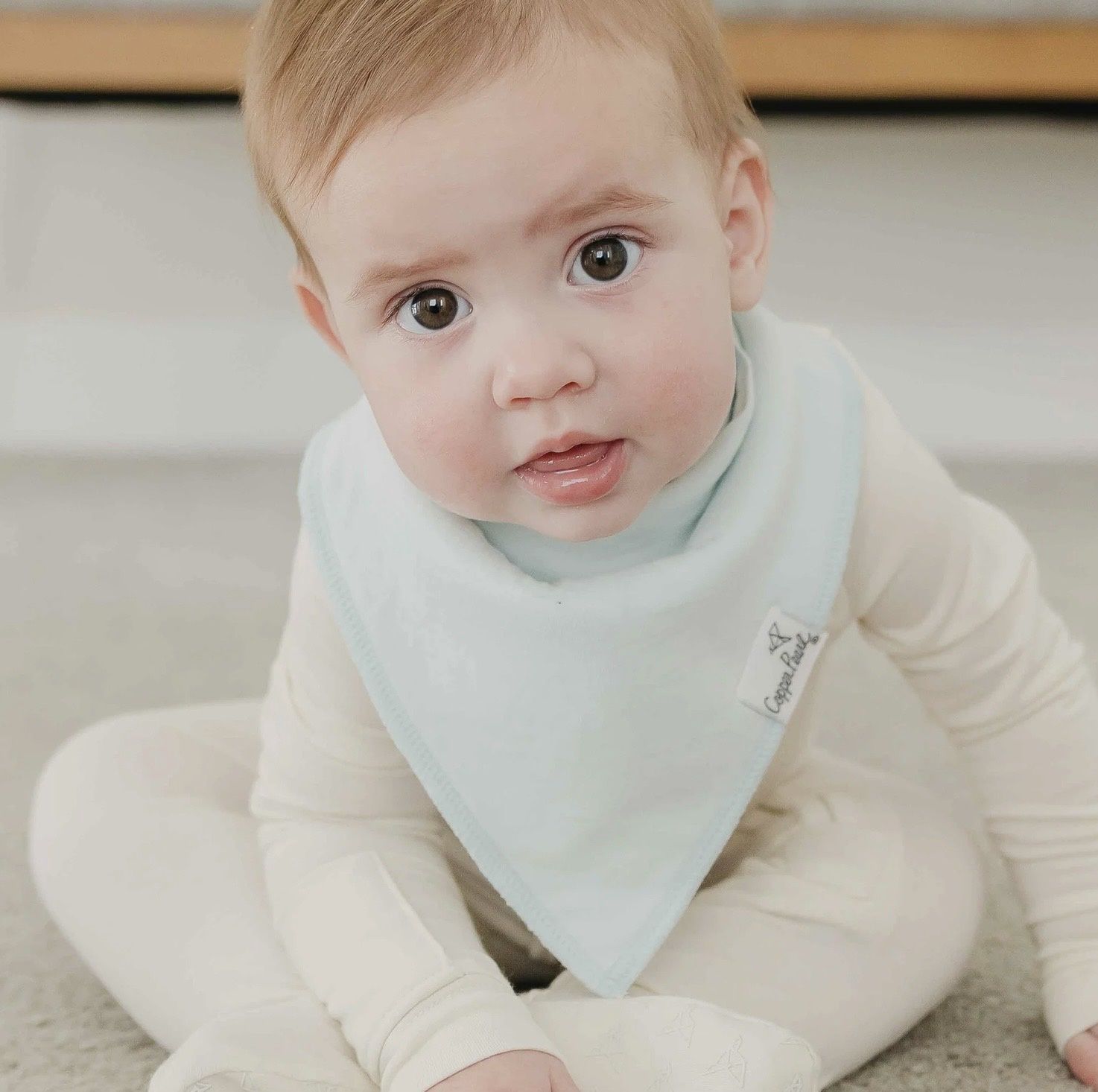 Bandana Bibs - Air