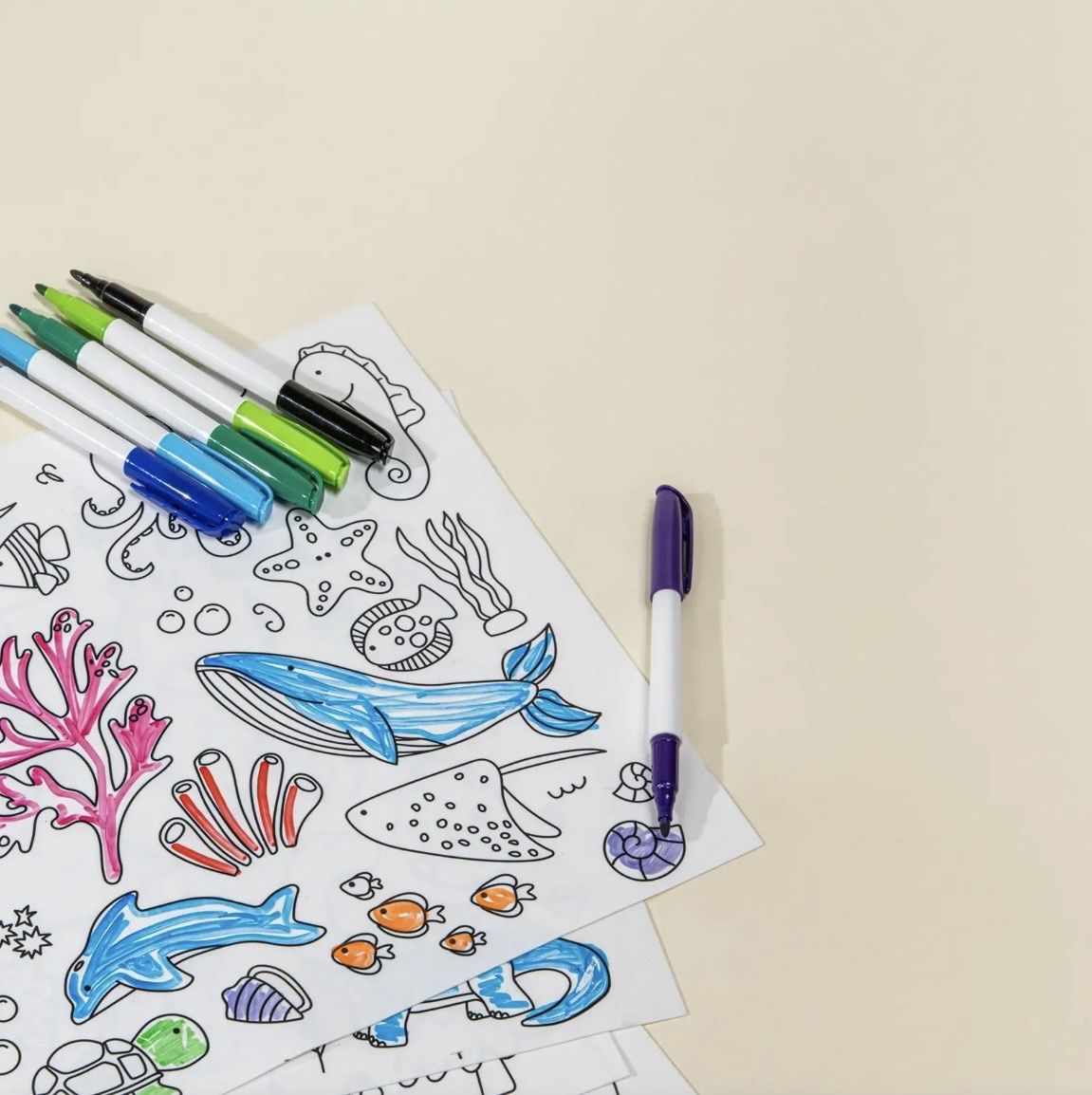 Washable Coloring Placemats &amp; Markers