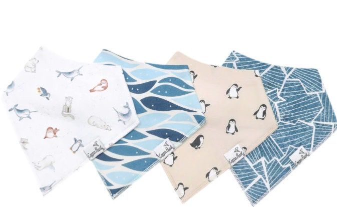 Bandana Bibs - Arctic Wonder