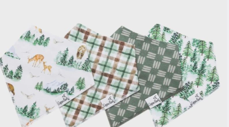 Bandana Bibs - Grayson