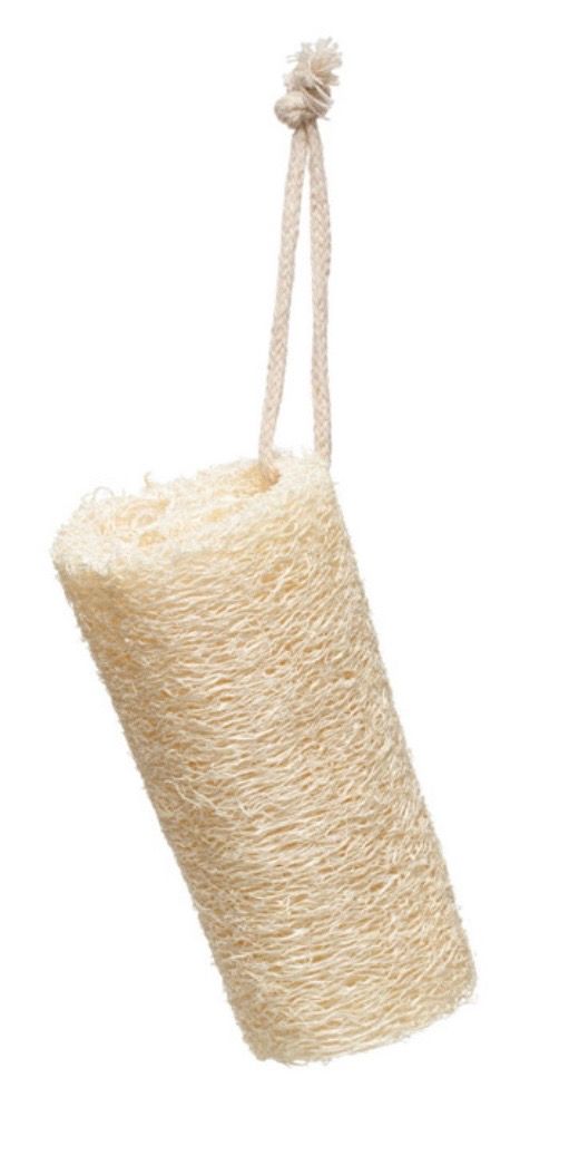 Loofa Brush