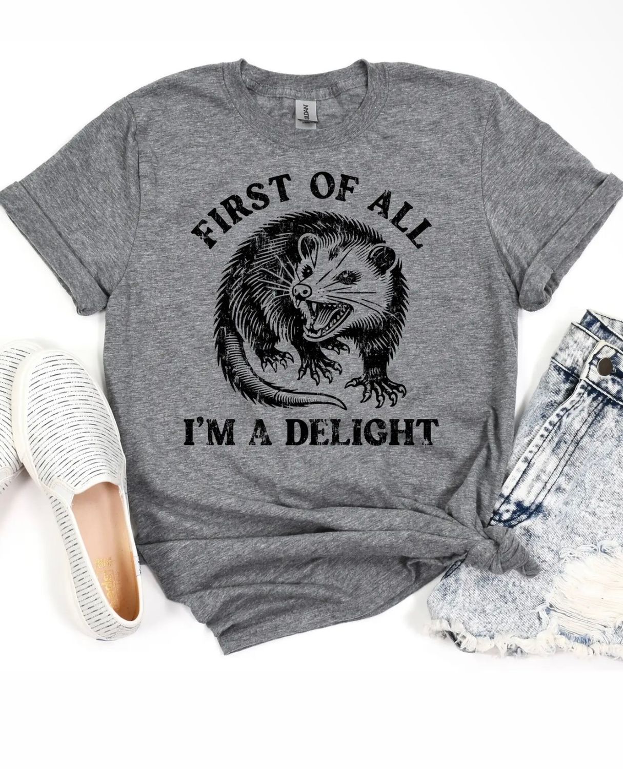 I’m A Delight Possum Tee, Color: Gray, Size: Small