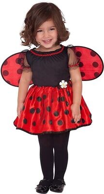 12-24 Toddler Little Ladybug Costume