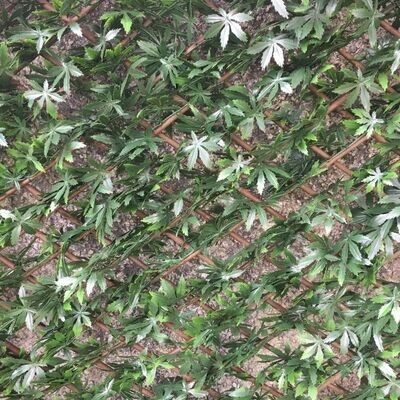 “Evergreen” Artificial Hedge on Expanding Trellis – 2m x 1m