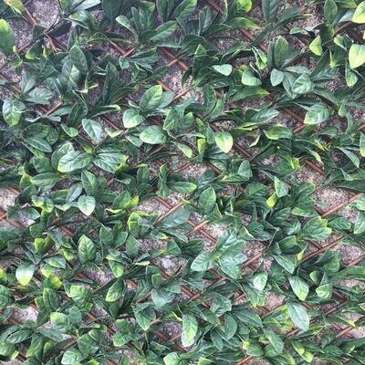 “Savanah” Artificial Hedge on Expanding Trellis – 2m x 1m