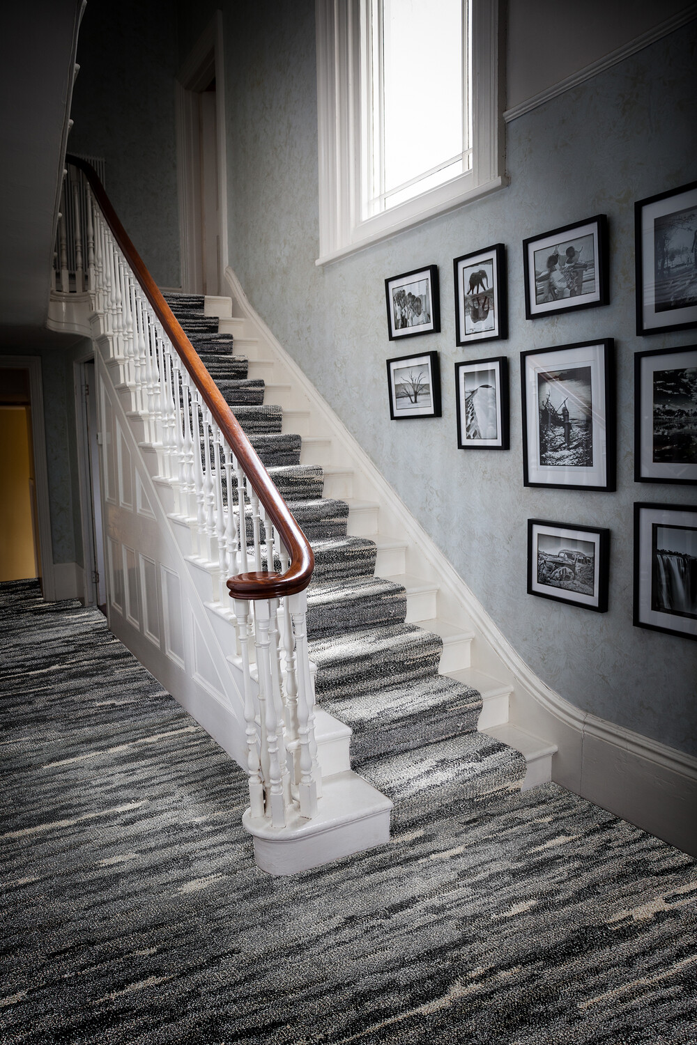WAVES - THE FIRENZE CARPET COLLECTION 2024