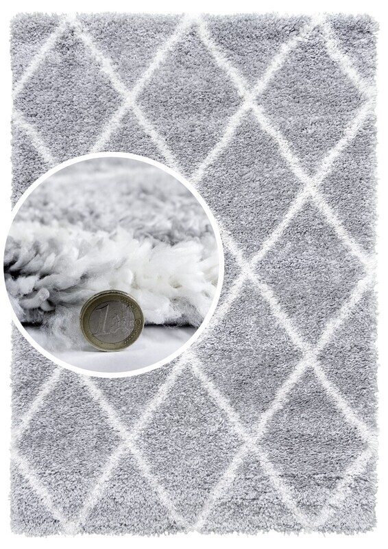 Fantasy Trellis Shaggy - Light Grey / Cream