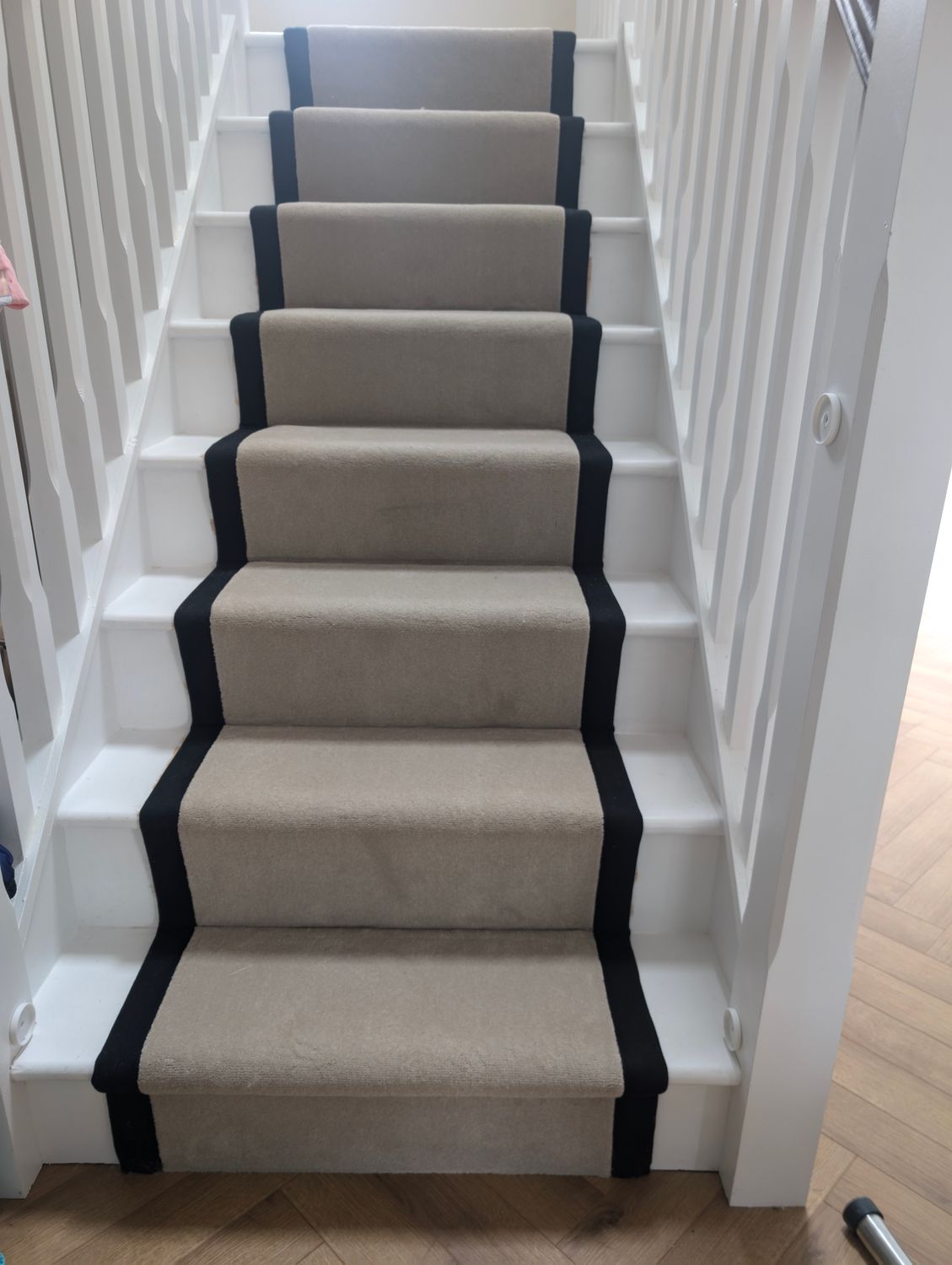 VERSAILLE VELVET  -  THE CARPET GUY EXCLUSIVE RANGE