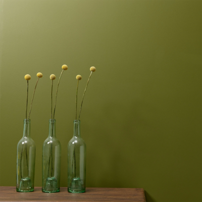Constance Moss Wall Paint
