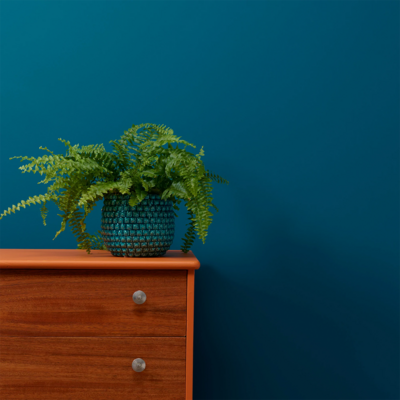 Steel Teal Wall Paint