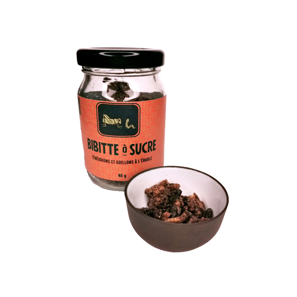 Bibitte à sucre &lt;br/&gt; Grillons et ténébrions caramélisés à l&#39;érable