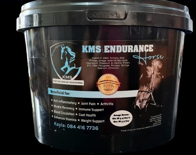 KMS Endurance  Horse