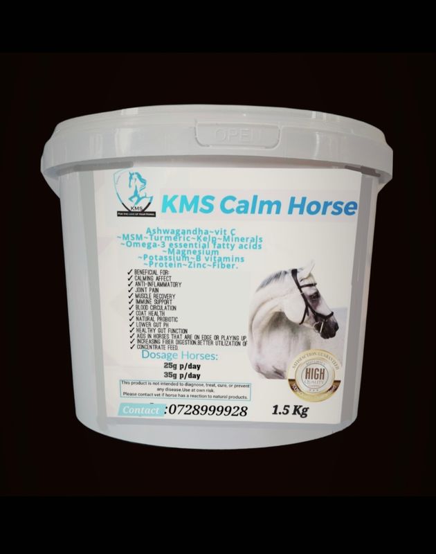 KMS Calm Horse
