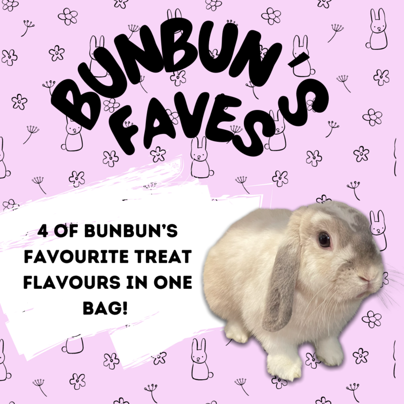 Tasty Treats For Guinea Pigs