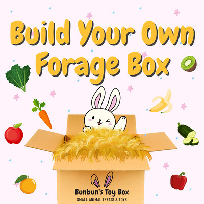 Build Your Own Forage Box