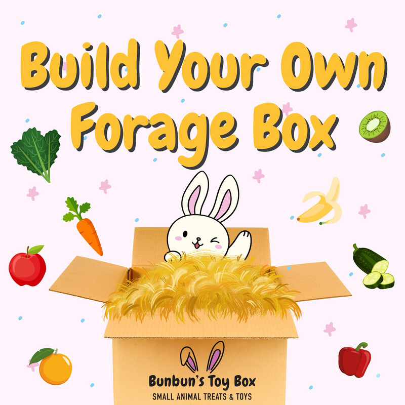 Bunny toy best sale box