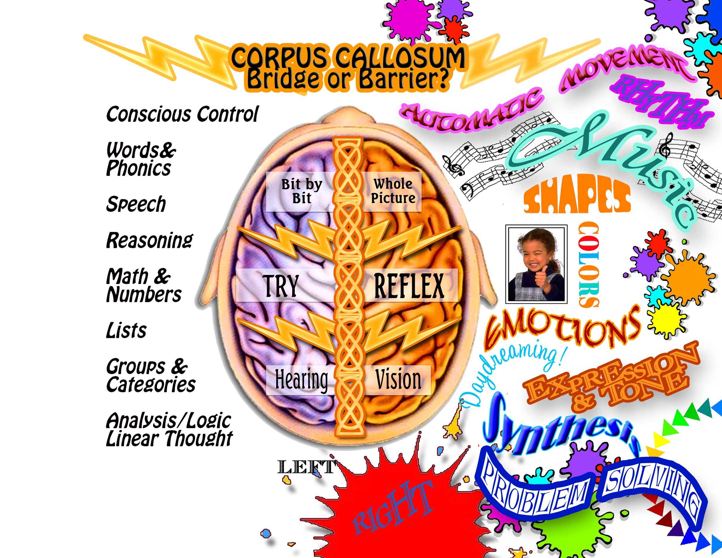 Individual Therapy - First Consultation