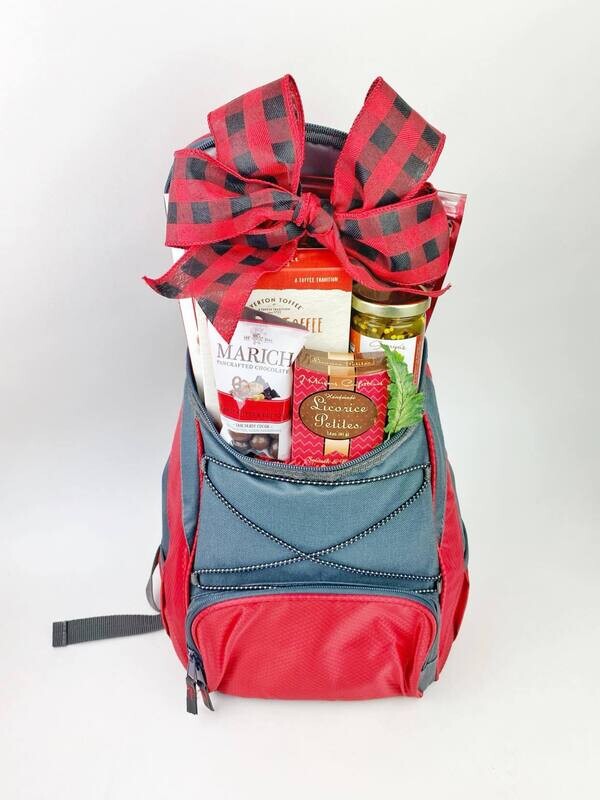 Backpack cooler