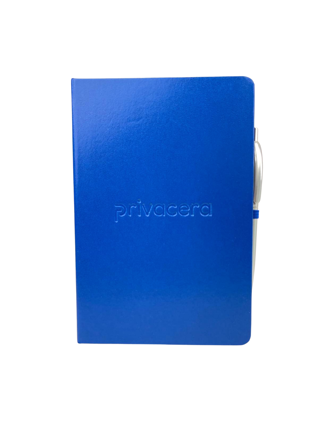 Privacera Notebook