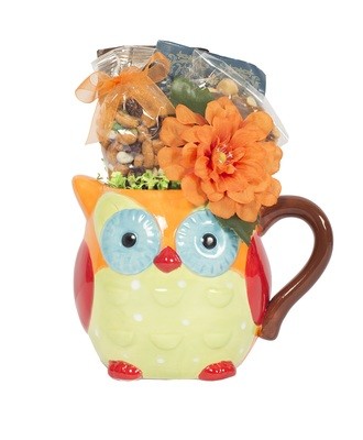 Owl Mug Set