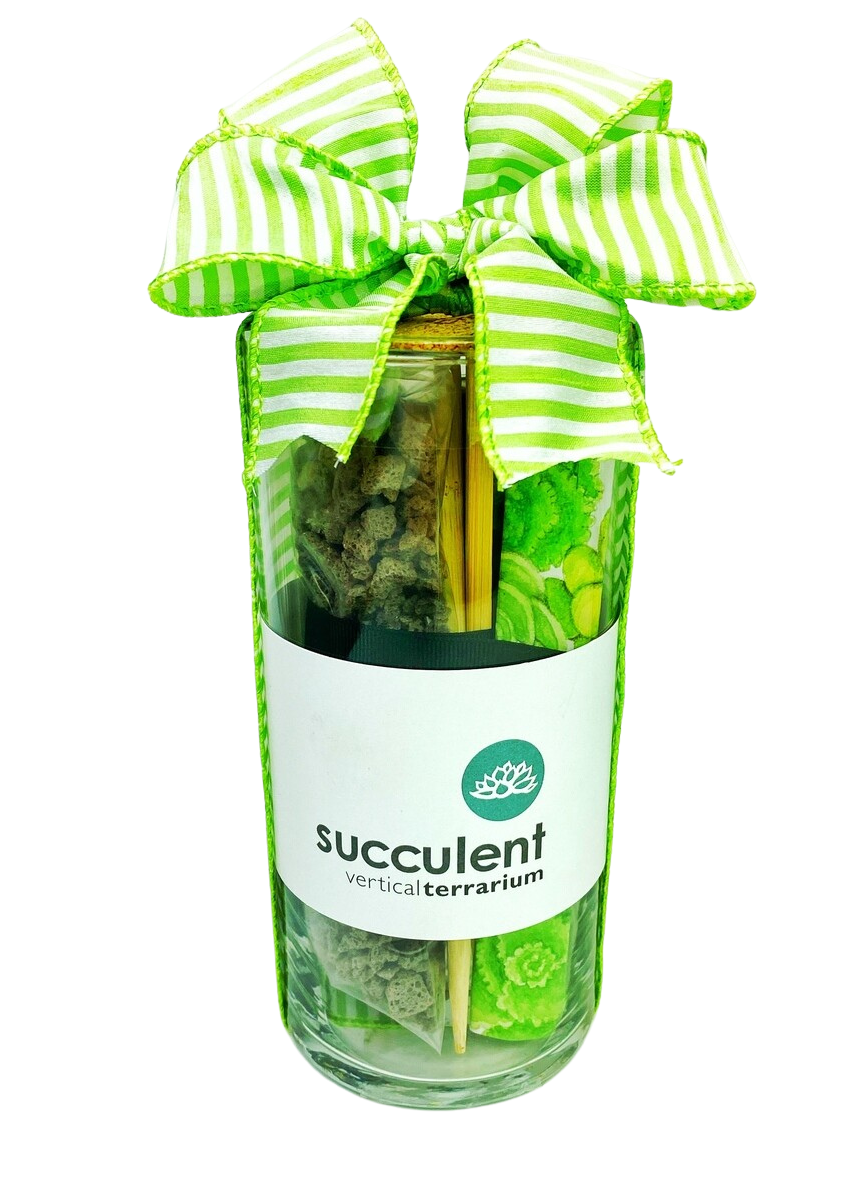 Succulent Terrarium