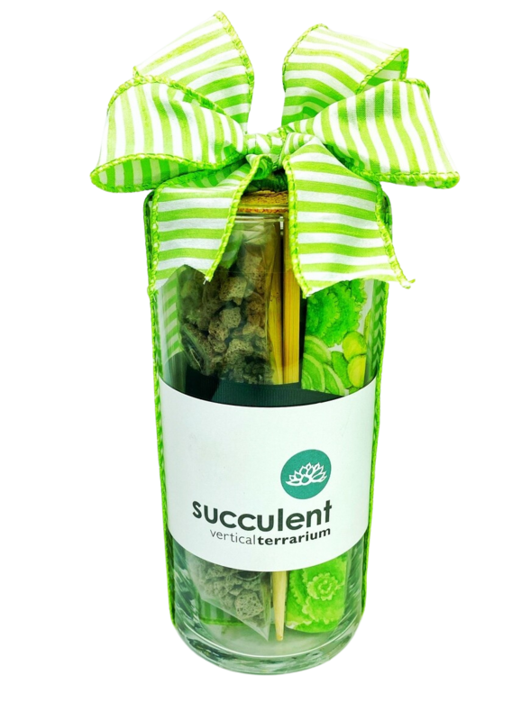Succulent Terrarium