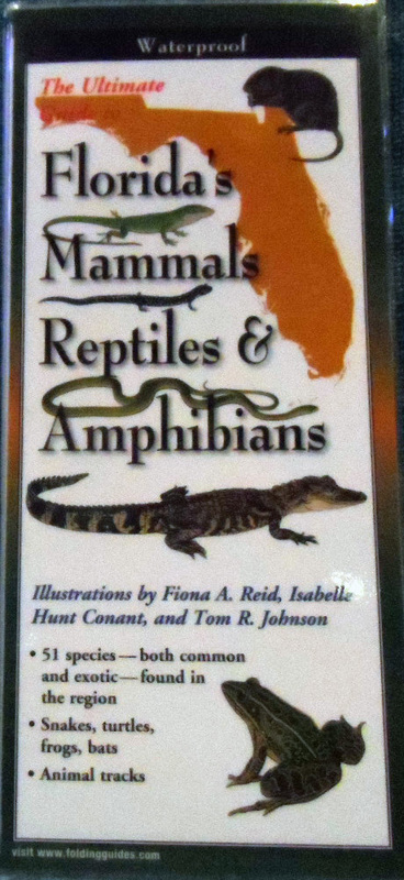 The Ultimate Guide to Florida&#39;s Mammals Reptiles &amp; Amphibians