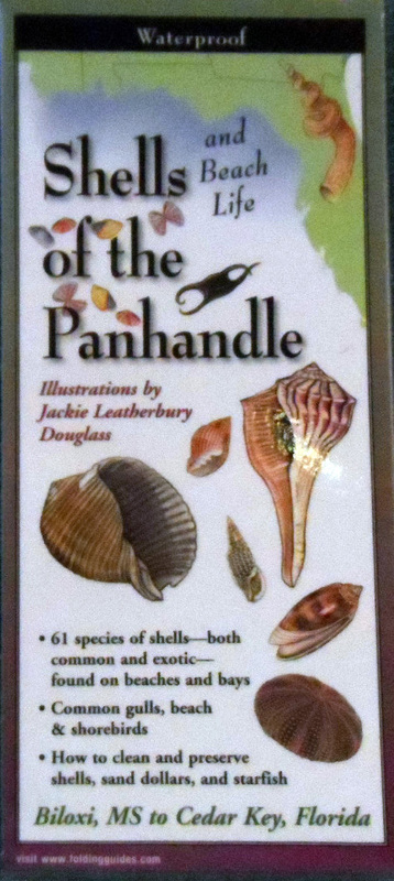 Field Guide to Shells and Beach Life of the Florida Panhandle