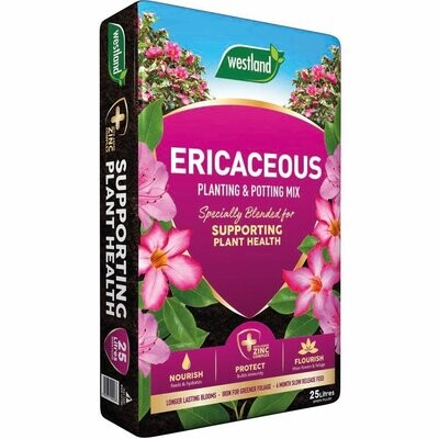 Westland Ericaceous Planting & Potting Mix