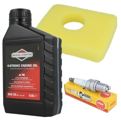 Briggs & Stratton 450E - 550E Series Service Kit - 8395