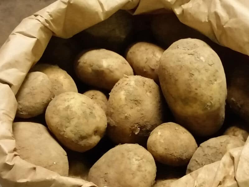 25kg Wilja Potatoes