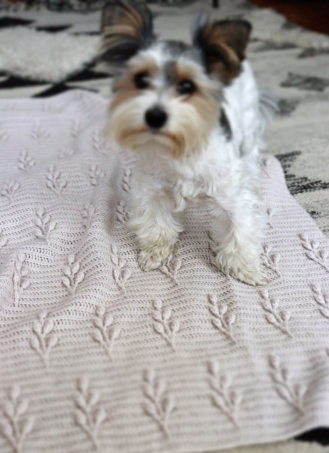 CROCHET PDF PATTERN: Tate Blanket