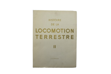 Histoire De La Locomotion Terrestre La Voiture Le Cycle L'Automobile II