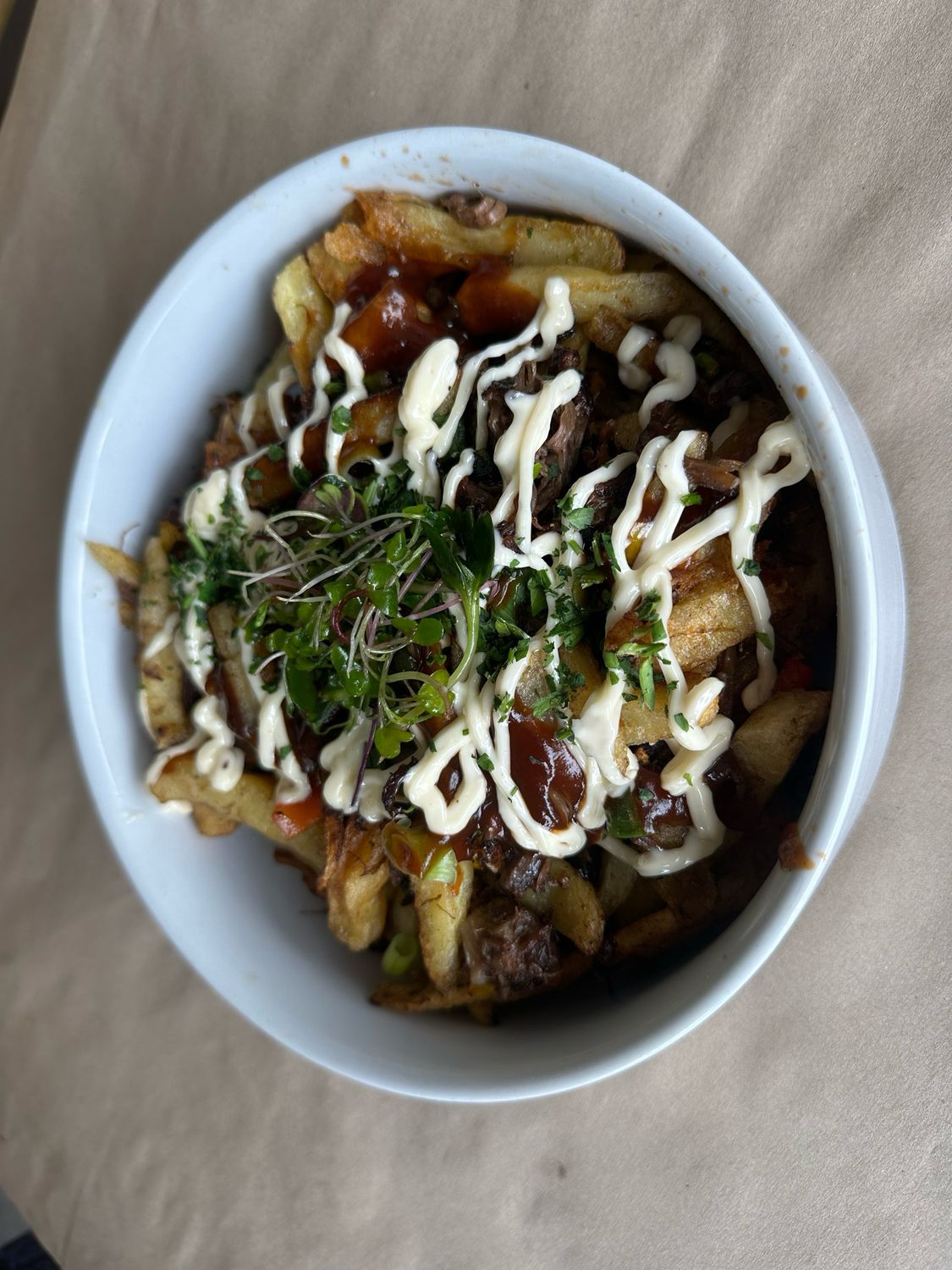 Fully loaded fries