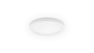 TARA R MEDIA- LINEA LIGHT