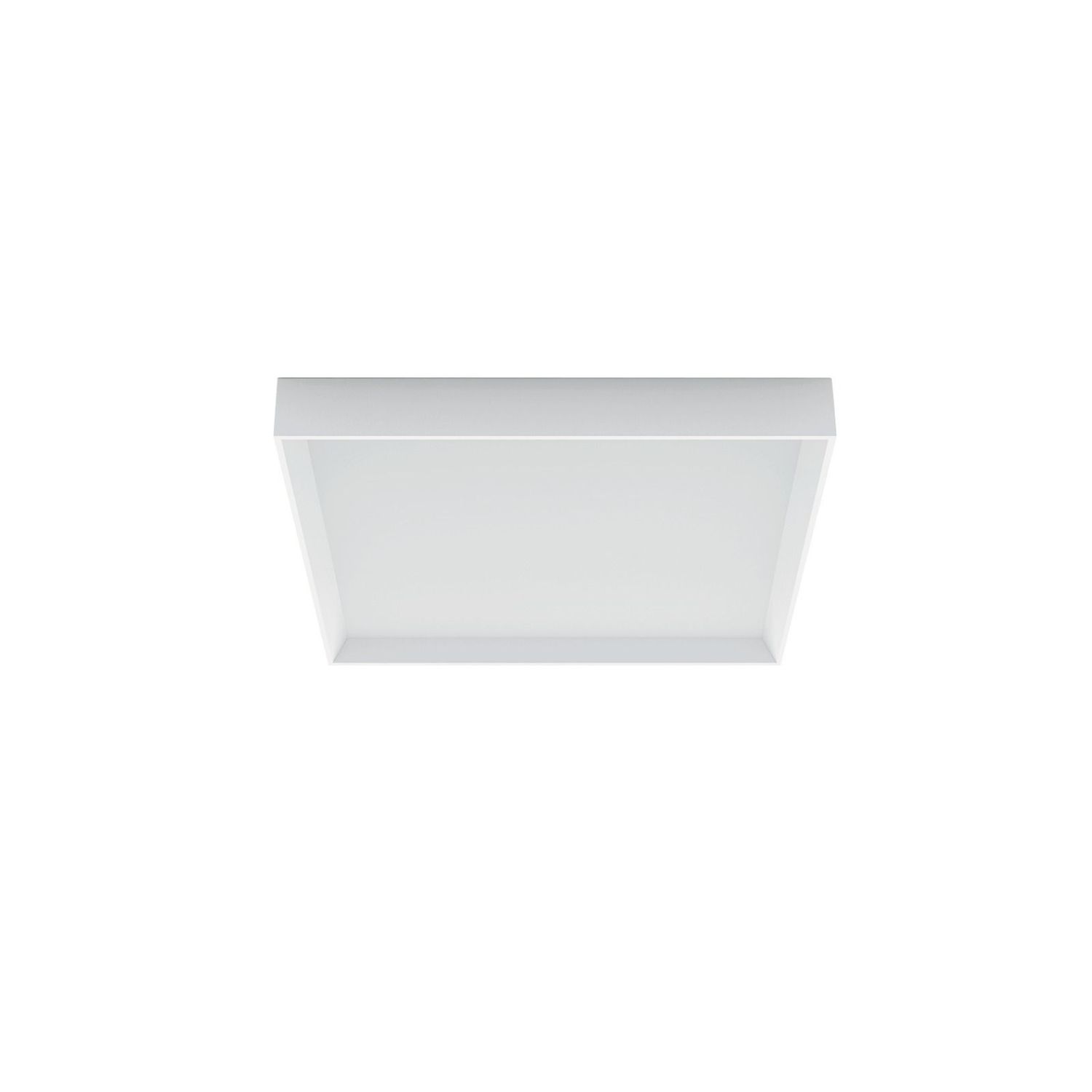 TARA Q MEDIA - LINEA LIGHT TARA Q MEDIA - LINEA LIGHT
