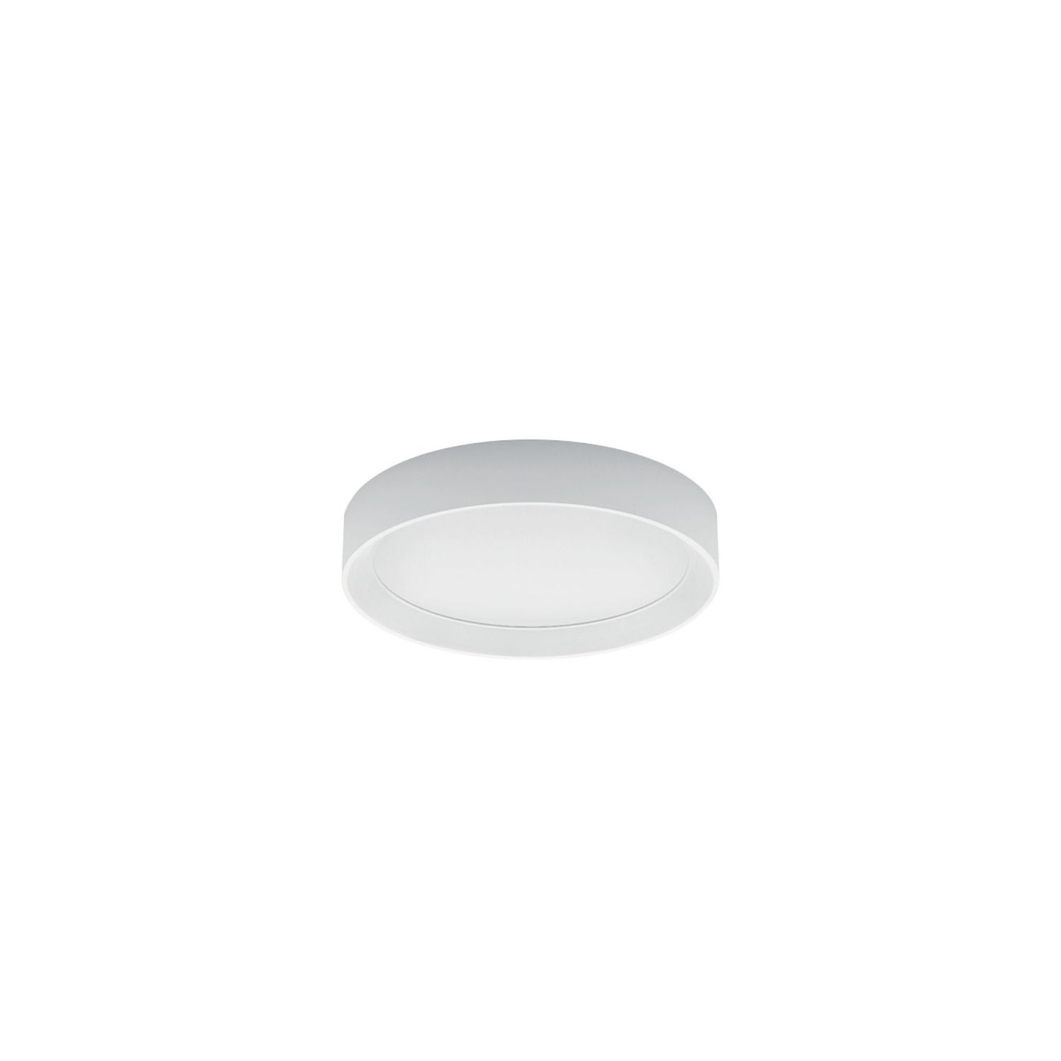 TARA R PICCOLA - LINEA LIGHT TARA R PICCOLA - LINEA LIGHT