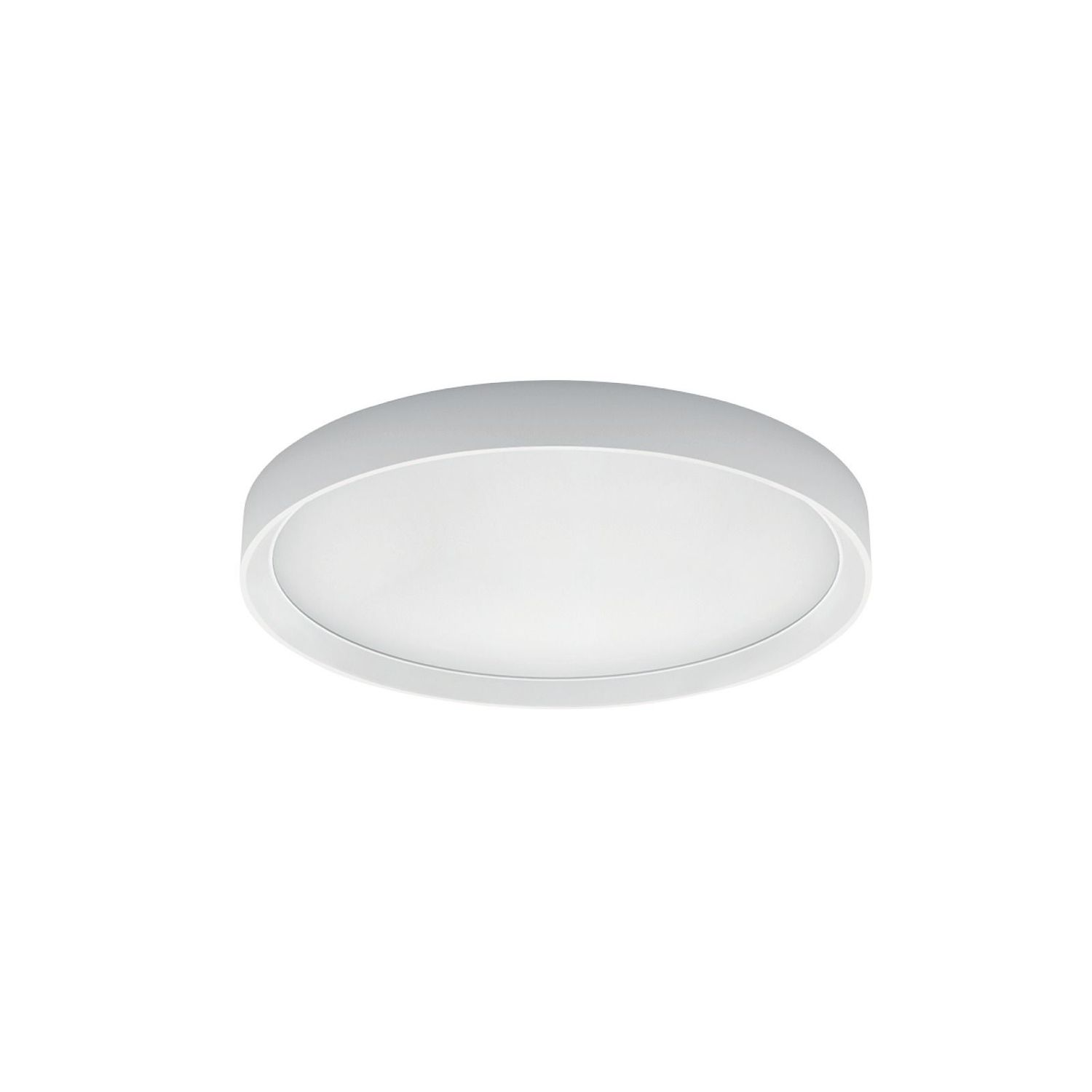 TARA R GRANDE - LINEA LIGHT