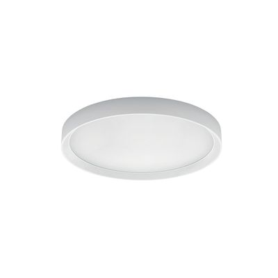 TARA R GRANDE - LINEA LIGHT TARA R GRANDE - LINEA LIGHT