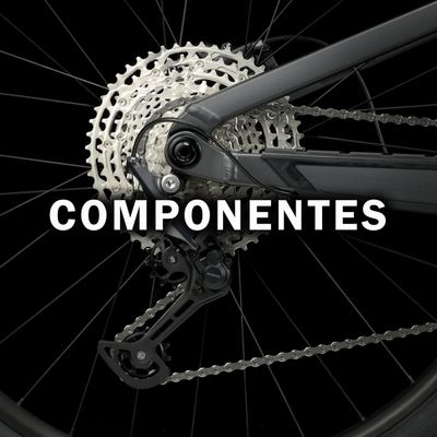 COMPONENTES