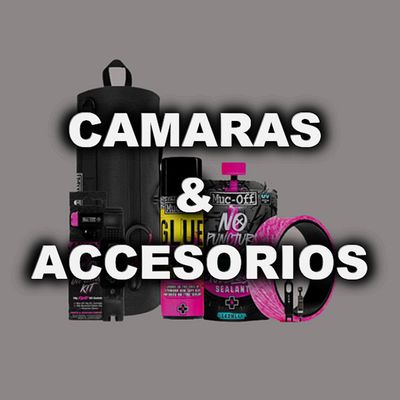 CAMARAS Y ACCESORIOS